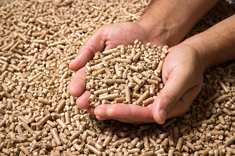 granule3