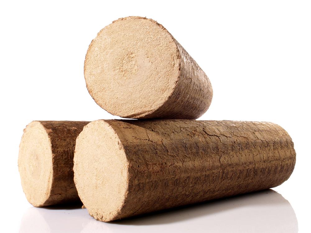 buche-densifie