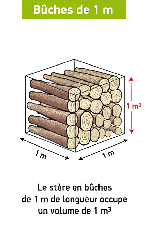 buche-1-m